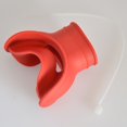 thumbnail image 1 of Régulateur de Plongée sous-Marine avec Support de Pieuvre, 1 of 10