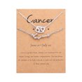 thumbnail image 1 of Heliisoer Twelve Constellation Necklace Diamond Bracelet + Card Set, 1 of 1