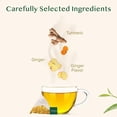 thumbnail image 4 of VAHDAM Turmeric Ginger Herbal Tea, 100 Pyramid Tea Bags | Caffeine-Free, 4 of 9