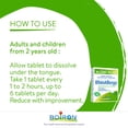 thumbnail image 4 of Boiron RhinAllergy – Allergy Relief for Sneezing, Runny Nose, Itchy Eyes & Throat 2X60 Tablets, 4 of 6