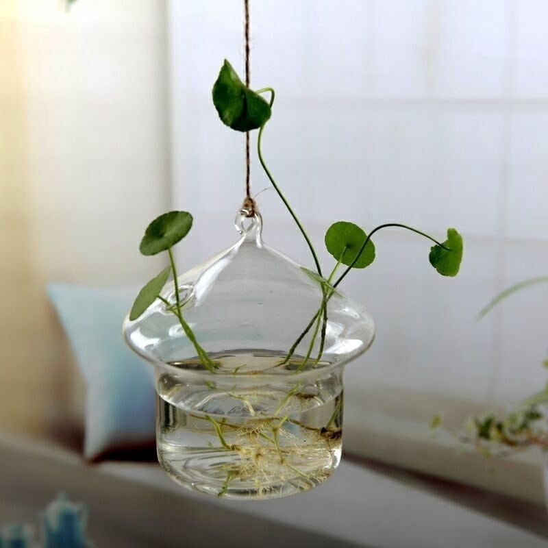 Hanging Glass Flowers Plant Vase Bottle Terrarium Container Home Garden Decors