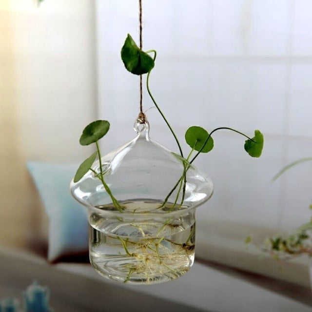 Hanging Glass Flowers Plant Vase Bottle Terrarium Container Home Garden Decors