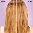 thumbnail image 3 of L'Oreal Paris Everpure Volume Shampoo, 3 of 7