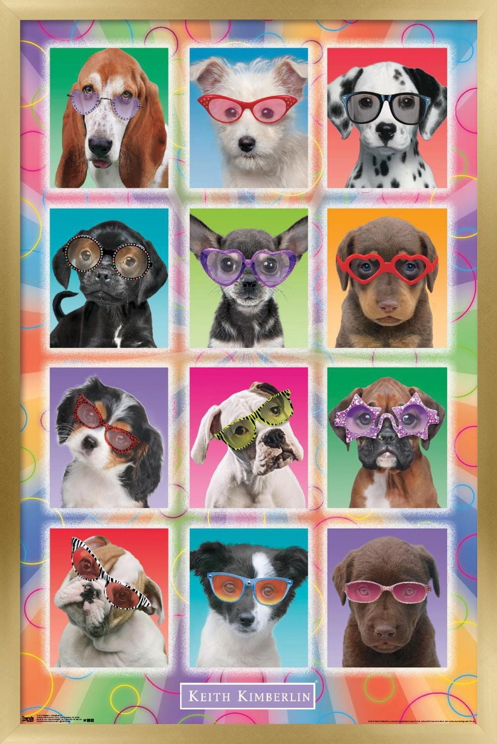 Keith Kimberlin - Puppies - Sunglasses Wall Poster