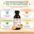 thumbnail image 4 of Maple Life Kids Polyvitamin Drops with Zinc 50ml, 4 of 11