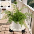 thumbnail image 1 of QTOCIO Mobile Tray With Plastic Belt Roller Circular Chassis Potted Plants Water Receiving Movable Pot Holders, 1 of 4