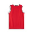 thumbnail image 2 of Sonic the Hedgehog Boys Red Knuckles 2 Piece Basketball Set (6-7 Years), 2 of 6