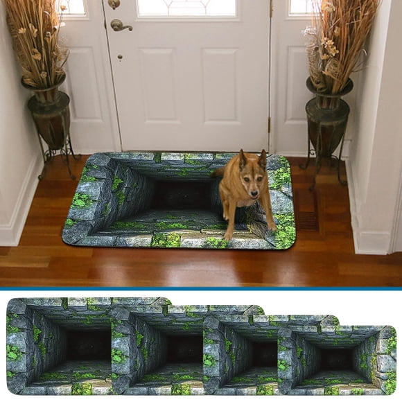 Sentmoon Living Room Area Rug Rugs for Living Room Visual Diatomite Mud Entrance Door Mat Waterproof Bathroom Floor Mat