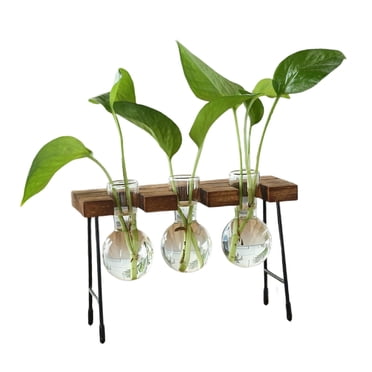 GROWTH TANK Glass Flower Vase Arrangement Flower Hydroponic Flower Vase Bud Vase for Country Three bottles