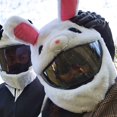 thumbnail image 3 of AMERTEER Motorcycle Helmet Cover for Full Helmets Innovative Soft Helmet Plush Cover Dust Protection Fun Helmet Cover Personalized Universal Plush Animal Helmet Covers for Christmas Gifts, 3 of 10