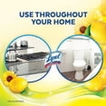 thumbnail image 4 of Lysol All Purpose Cleaner, Pour, Sparkling Lemon & Sunflower Essence, Multi Surface Cleaner, 4.26 L, 4 of 5