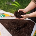 thumbnail image 4 of SCH TERREAU À JARDINÈRE POUR CULTURE BIOLOGIQUE 56.6L, 4 of 4