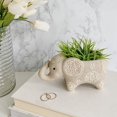 thumbnail image 1 of Linen Chest Elephant Planter, 1 of 3