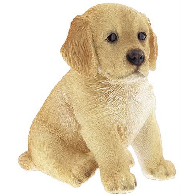Border Concepts Nature's Gallery Compagnons de Compagnie (Chiot Golden Retriever)