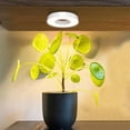thumbnail image 3 of Maytalsory Hydroponic System LED Plant Lamp Grow 3, 9, or 12 Light Plant Lamp Light For Indoor, 3 of 6