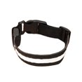 thumbnail image 2 of Collier Lumineux en Nylon pour Chien Chiot avec Lumière LED Douce Réglable, 2 of 8