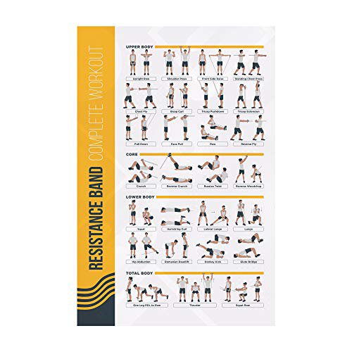FitMate Bandes de Résistance Affiche d'Exercice d'Entraînement - Routine d'Entraînement avec Poids Libres, Déco de Gym à la Maison, Guide de Pièce (16.5 x 25 Pouces)