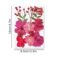 thumbnail image 2 of Pcksrro Home Decorations Items and Hanging Ornaments Deal!Colorful Natural Dried Flowers And Embossed Decorative Set, 2 of 5