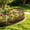 Multicolor Size N6, variant on Garden Fence Barrier, TOUMENY Rustproof Metal Decorative Fence Panels, Anti-Dig Pet Barrier for Yard Lawn Outdoor, 30x20cm Wrought Iron Garden Fence for Flower Bed