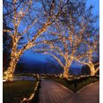 thumbnail image 3 of Novelty Lights 24FT 70 LED C6 Outdoor Christmas String Lights, Warm White, 3 of 7