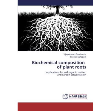 Composition Biochimique des Racines des Plantes