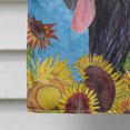 thumbnail image 4 of Carolines Treasures SS4123CHF 28 x 40 In. Briard Flag Canvas- House Size, 4 of 4