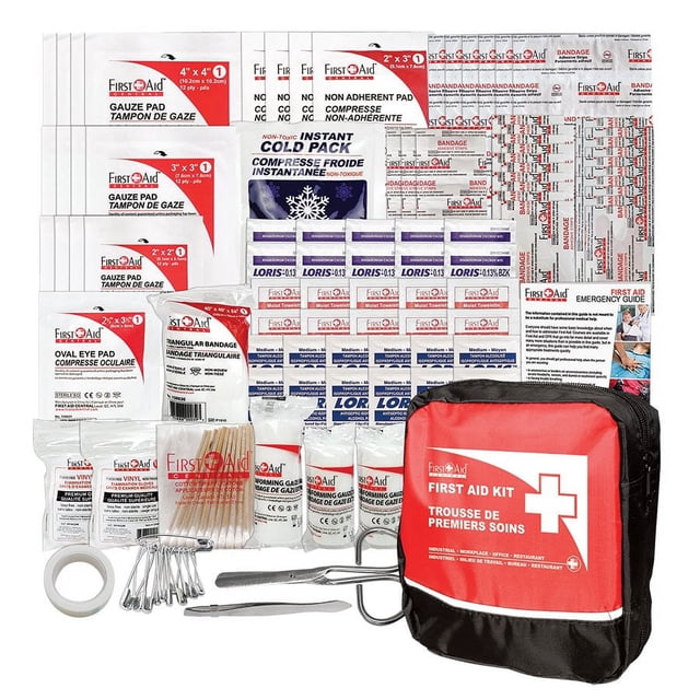 First Aid FAC-420N Essential First Aid Kit with 150 first aid supplies, including gauze pads, bandages, cold pack, scissors, and safety pins, stored in a durable red and black nylon case. Suitable for workplace, home, or travel emergencies.