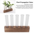 thumbnail image 4 of Glass Plant Propagation Station With Wooden Stand Desktop Plant Terrarium Home Decor, 4 of 7