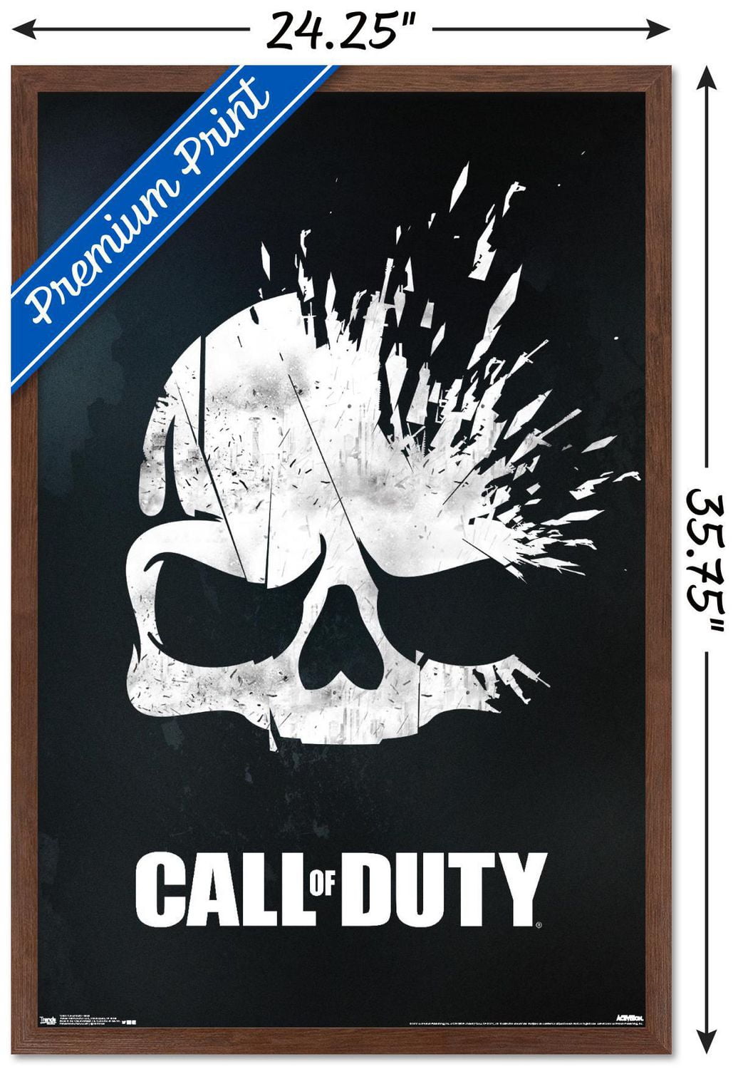 Call of Duty - Skull Wall Poster, 14.725" x 22.375"