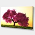 thumbnail image 2 of Cherry Blossom in Beautiful Garden - Landscape Canvas Art Print, 2 of 3