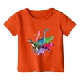 thumbnail image 1 of PMVFHDE Hauts Garçons Garçon et Fille Mode Décontractée Imprimé Col Rond Ample T-Shirt à Manches Courtes Haut Orange, 6-7 Ans, 1 of 3
