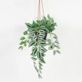 thumbnail image 1 of Lerman Decor hanging plant, 1 of 4