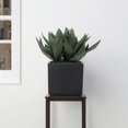 thumbnail image 5 of 12" Carré Planteur, 5 of 5