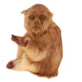 thumbnail image 1 of MesaSe Statue de Singe Figurine Assise Ornement Foncé, 1 of 8