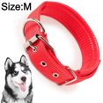 thumbnail image 2 of Heavy Duty Dog Collar with Handle for Medium and Large Dogs – Collar with Reflective Stitches,, 2 of 5