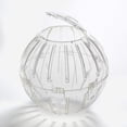 thumbnail image 2 of Kaytee Run-About Exercise Ball for Hamsters & Gerbils, Clear, 11.5-Inch, 2 of 6