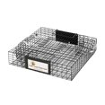 thumbnail image 2 of Rugged Ranch Chipmunkinator Chipmunk Squirrel Metal 2 Door Trap Cage (4 Pack), 2 of 12