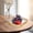 Jaune, variante sur Tranfacy Maison et Cuisine, Ensembles d'Assiettes et de Bols, Plateau à Fruits Salon Ménage Grande Valeur Table à Thé Style Plateau à Fruits Collations de Haute Qualité Plateau à Bonbons Plateau de Fruits Secs