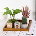 thumbnail image 4 of Unique Bargains 12' Square Wood Serving Tray Decorative Platter Home Kitchen Candle, Black, 4 of 6