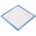 thumbnail image 2 of Healthy Spirit Disposable Underpad, 23 X 36 inch, 50 Count, 2 of 4