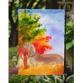 thumbnail image 3 of Carolines Treasures CK1932GF Fall Red Dachshund Garden Size Flag, 3 of 3