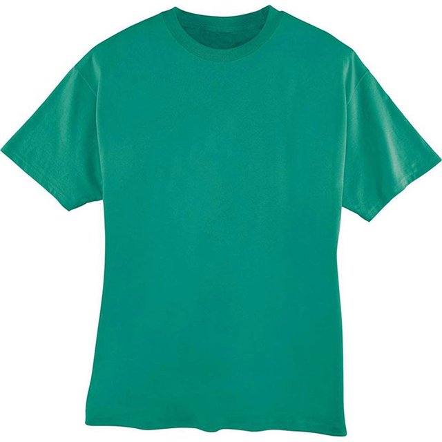 Hanes T-Shirt Adulte Sans Étiquette à Manches Courtes
