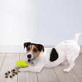 thumbnail image 2 of Ballon de football pour chiens, Nerf  vert 12cm, 2 of 4