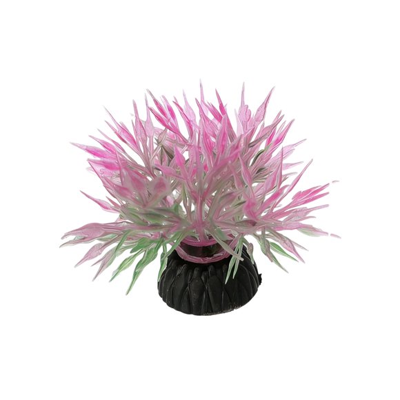 All Purpose Realistic For Tank Aquarium And Home Desktop Ornament Layout, For Casual Outings And Spring Days