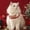 B, variant on TIELUTT Christmas Pet Collars for Cats and Dogs Crochet Cat Collars Cat Cat Lovers Christmas Handmade Foggy Dog Bow Tie Leopard Bow Tie Dog Quick Snap Soft Organic Dog Small Dogs Joint Oil for Dogs