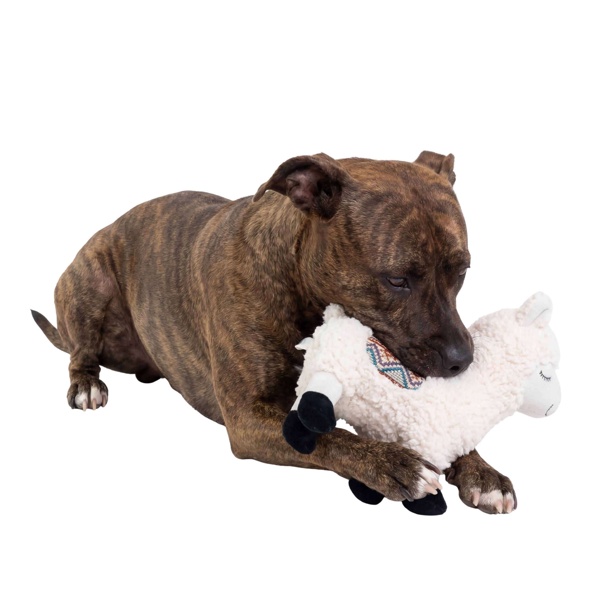 One Paw, Jouet en peluche lama pour chien