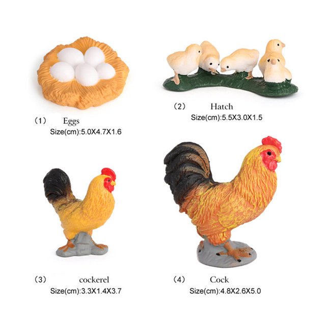 pitrice 1 Ensemble de Modèle de Bêche Ver Matériau Plastique de Qualité Supérieure Figurines d'Insectes Significatives Modèles de Croissance Éducatifs Précoces pour Projet Scolaire Coq