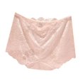 thumbnail image 1 of HUITKMM Womens Underwear Ladies' Lace Solid Color Transparent Mid High Waist Plus Size Triangle Pants, 1 of 4