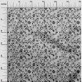 thumbnail image 3 of oneOone Viscose Jersey Gray Fabric Floral Craft Projects Decor Fabric Printed By The Yard 60 Inch Wide, 3 of 4