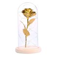 thumbnail image 1 of Yeacher Birthday Gift Beautiful Preserved Rose Flower LED Light with Glass Cover Wooden Base Valentines, 1 of 8